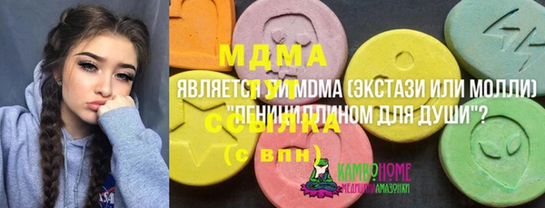 дмт Богданович